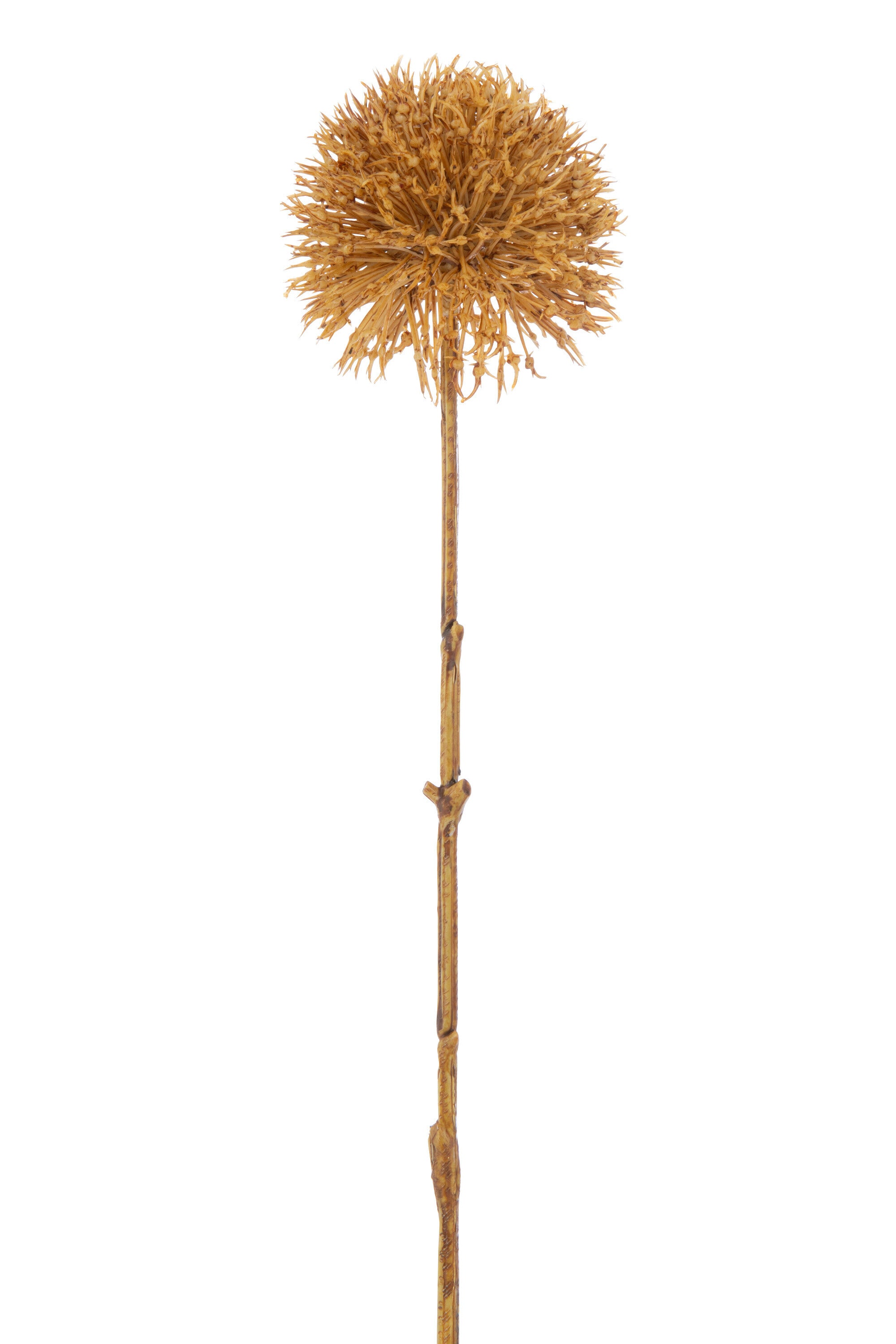 J-Line kunstbloem Allium 3 Bloemen - kunststof - oker - larg