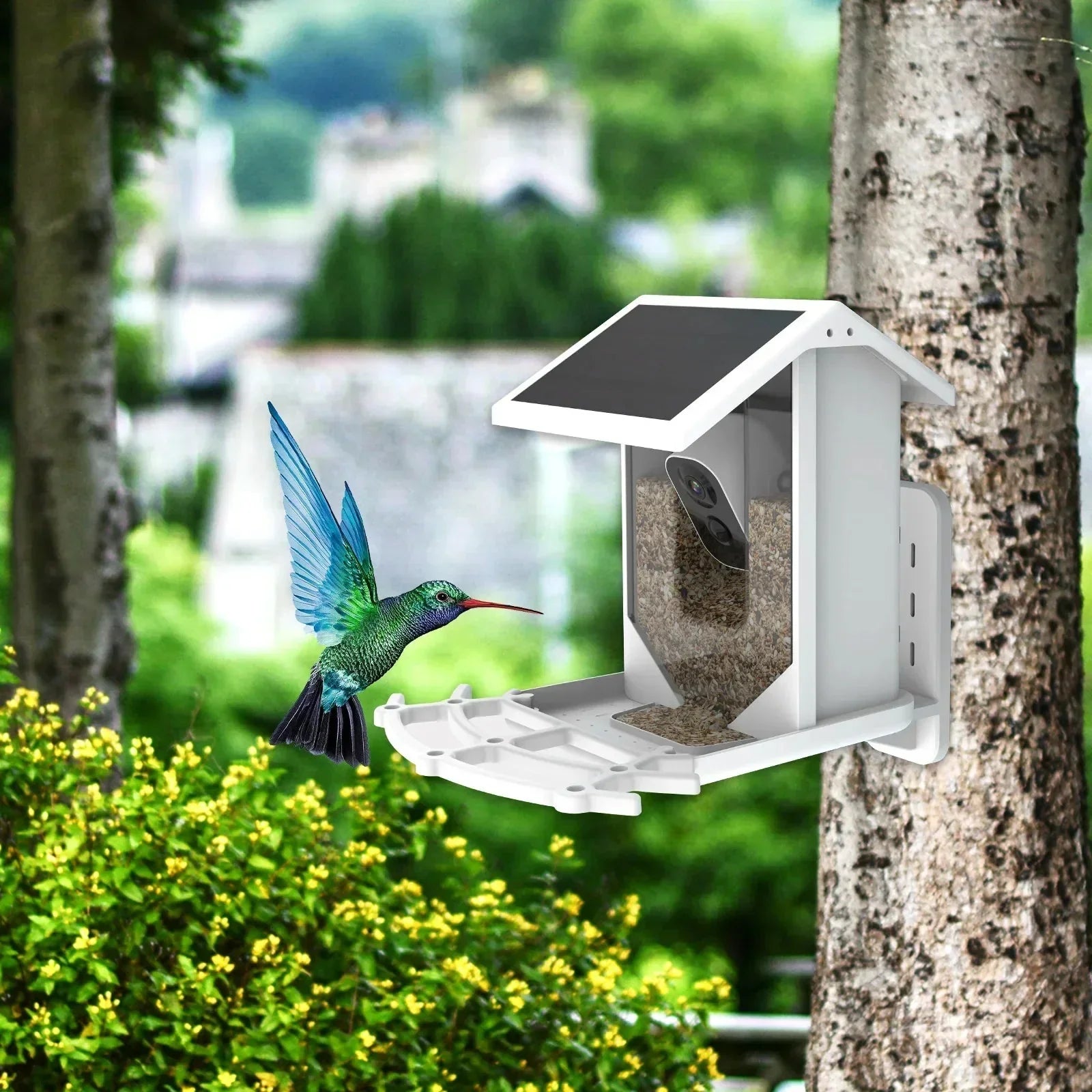 BirdWatch Geavanceerd Voederhuisje - Herkent Meer dan 16.000 Vogelsoorten - Zonne-energie