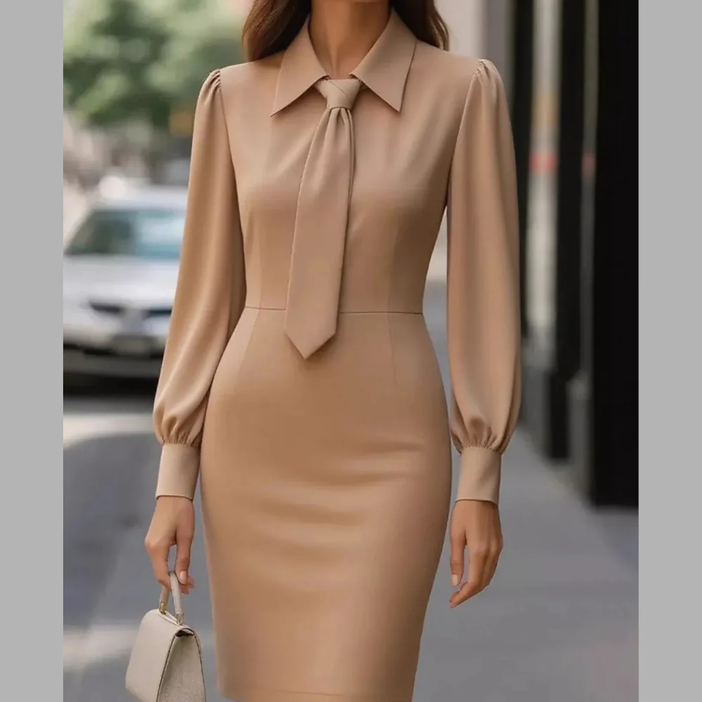 Tie-Neck Long Sleeve Dress - ZKZOOK