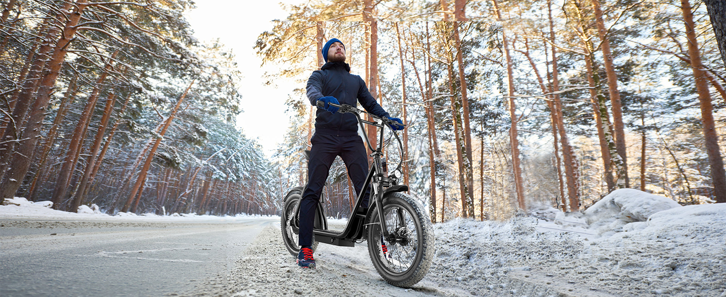 Trottinette électrique tout-terrain 20" à gros pneus avec siège
