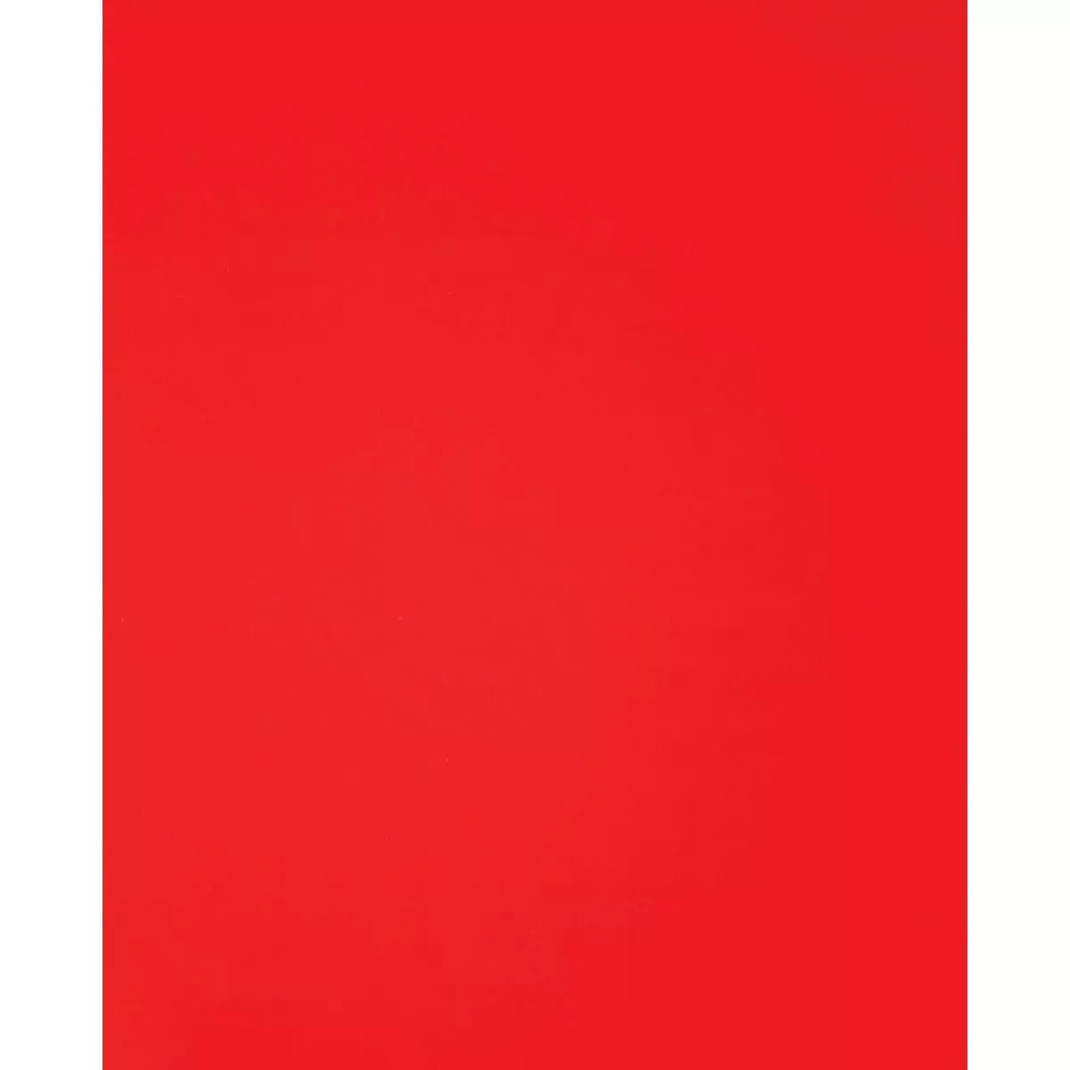 Diablo 9 In. x 11 In. 60 Grit Ultra Coarse Sandpaper (4-Pack)