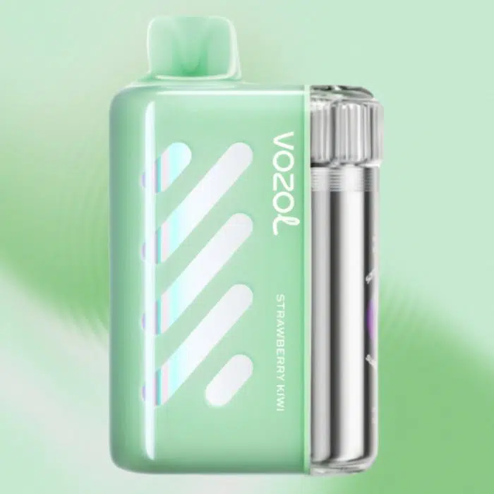 VOZOL VISTA 40000 puffs