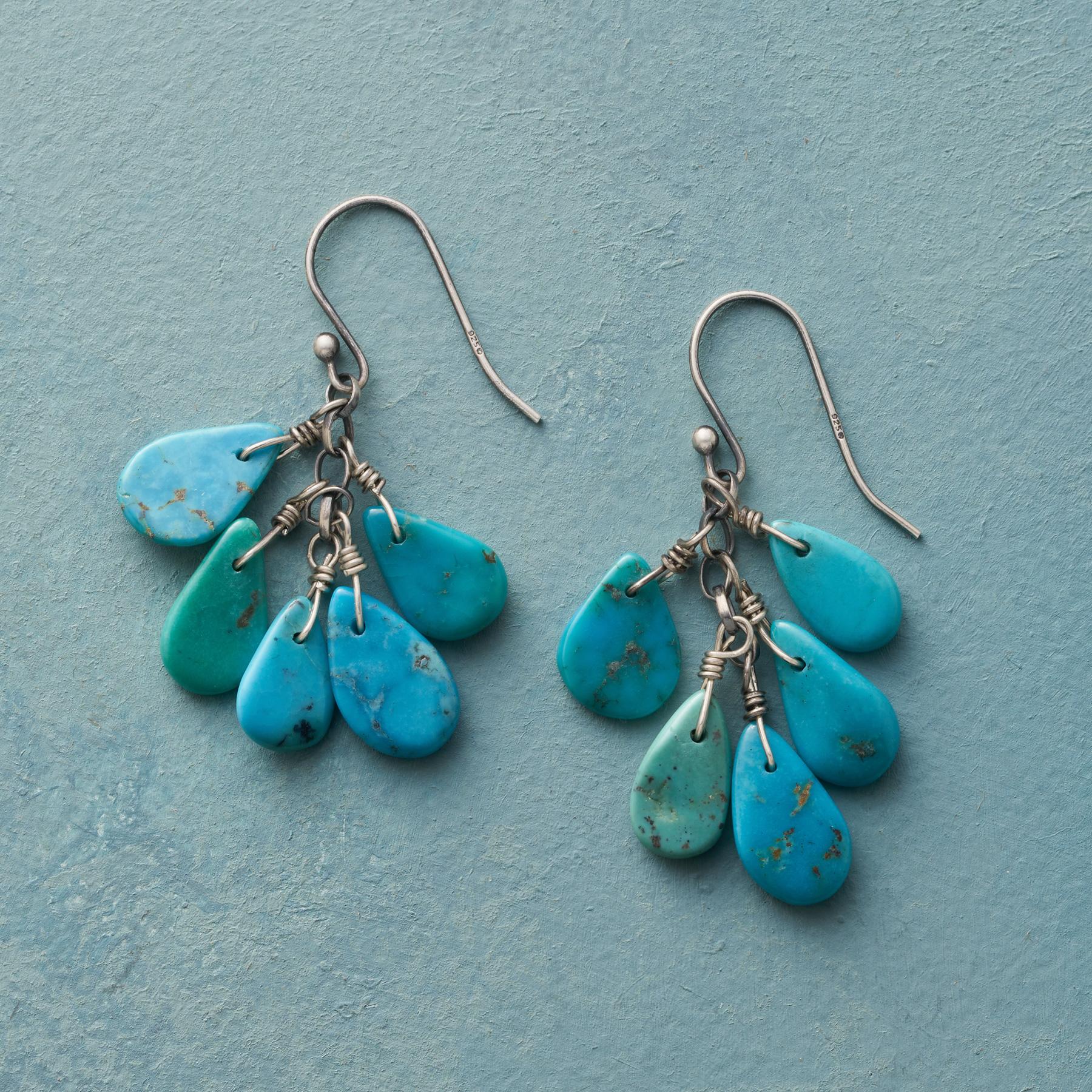 Cloudburst Earrings - Sundance Clothing