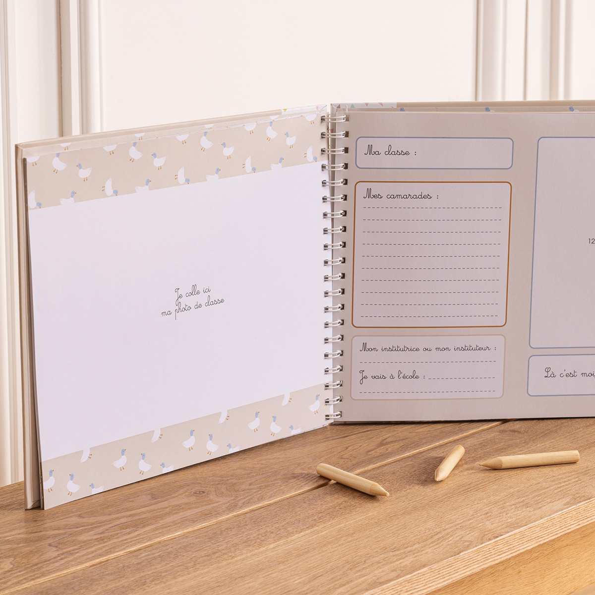 Class photo album 15 photos