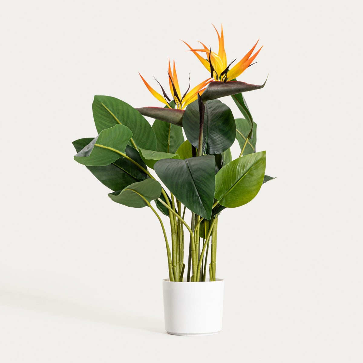 Roślina sztuczna BOTANIC strelicja 75 cm