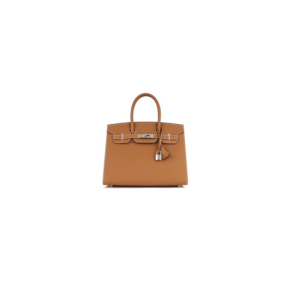 Hermes Birkin 25 Sellier Bag
