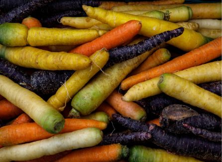 Rainbow Carrot Mix – Colorful, crunchy & full of vitamins