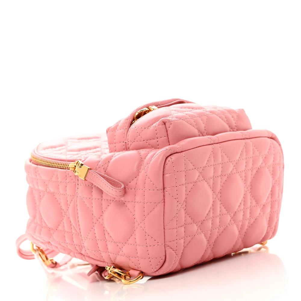 Mirror Quality Dior Peach Blossom Mini Backpack Replica1:1High-quality replica