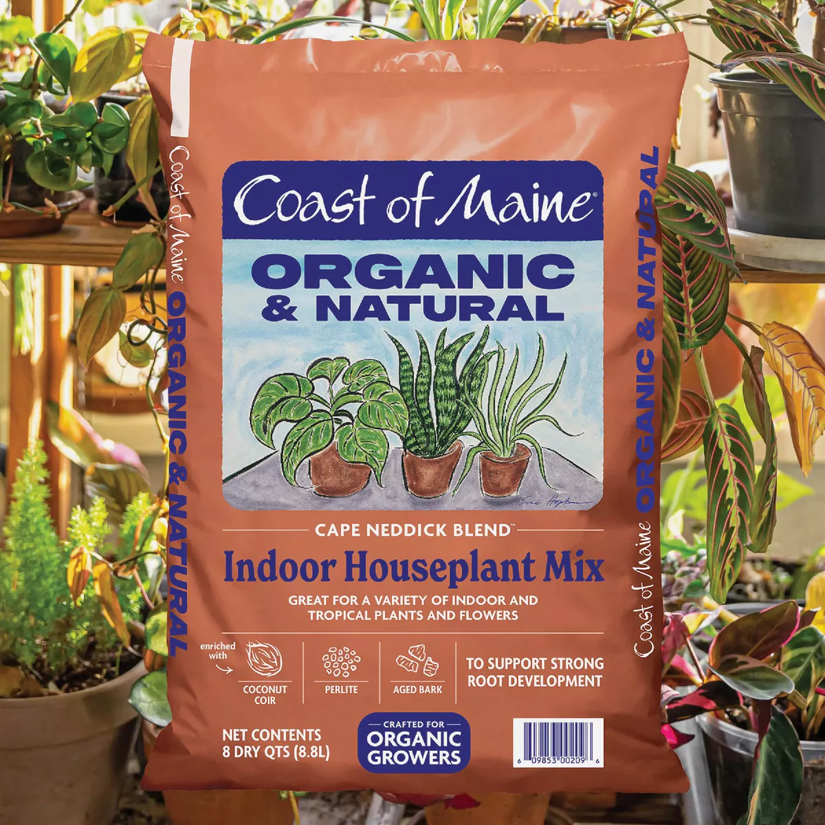 Coast of Maine Cape Neddick Blend 8 Qt. Indoor Houseplant Mix