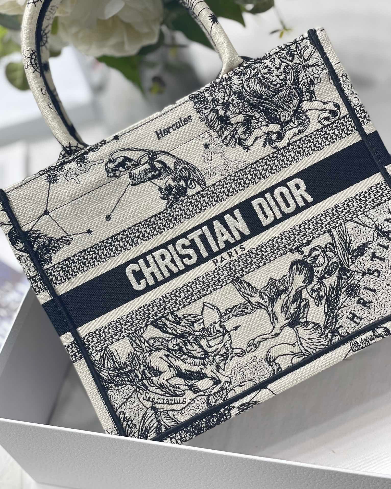 Christian Dior Small Dior Book Tote White, For Women, Women’s Handbags 26.5cm/10.5in CD M1265ZRHZ_M941