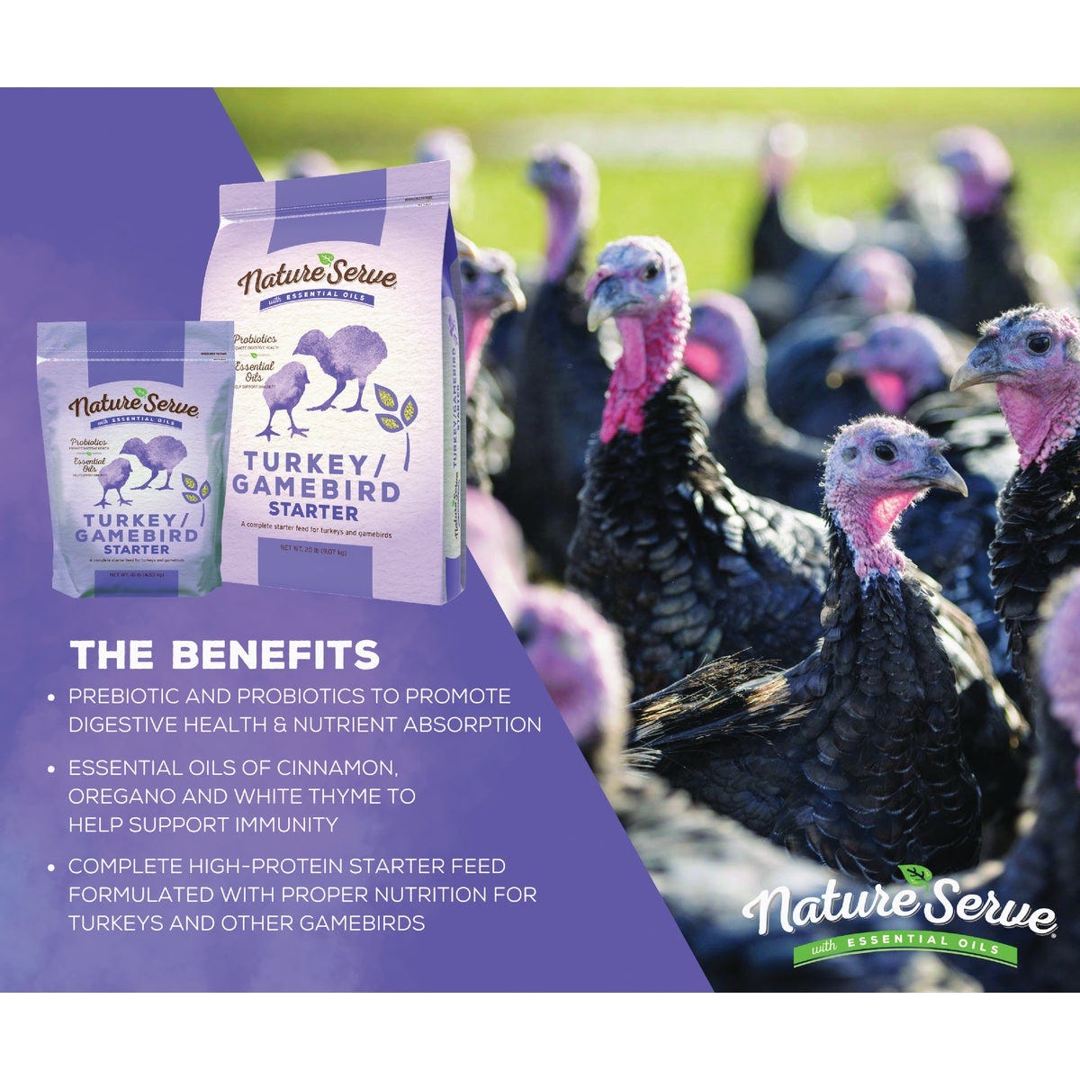 NatureServe 10 Lb. Turkey/Gamebird Starter