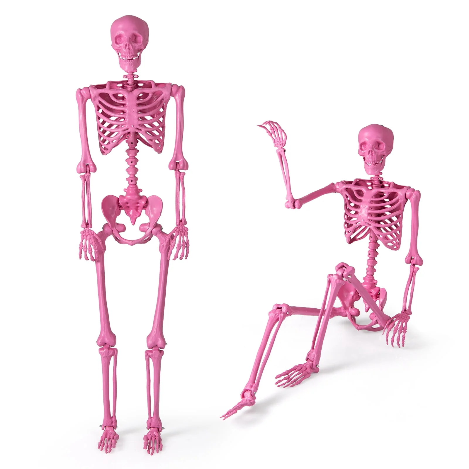 Costway 5.5 FT Poseable Halloween Skeleton Life-Size Decoration with Movable Joints Pink - Image 3 Costway 5.5 FT Poseable Halloween Skeleton Life-Size Decoration with Movable Joints Pink - Image 3