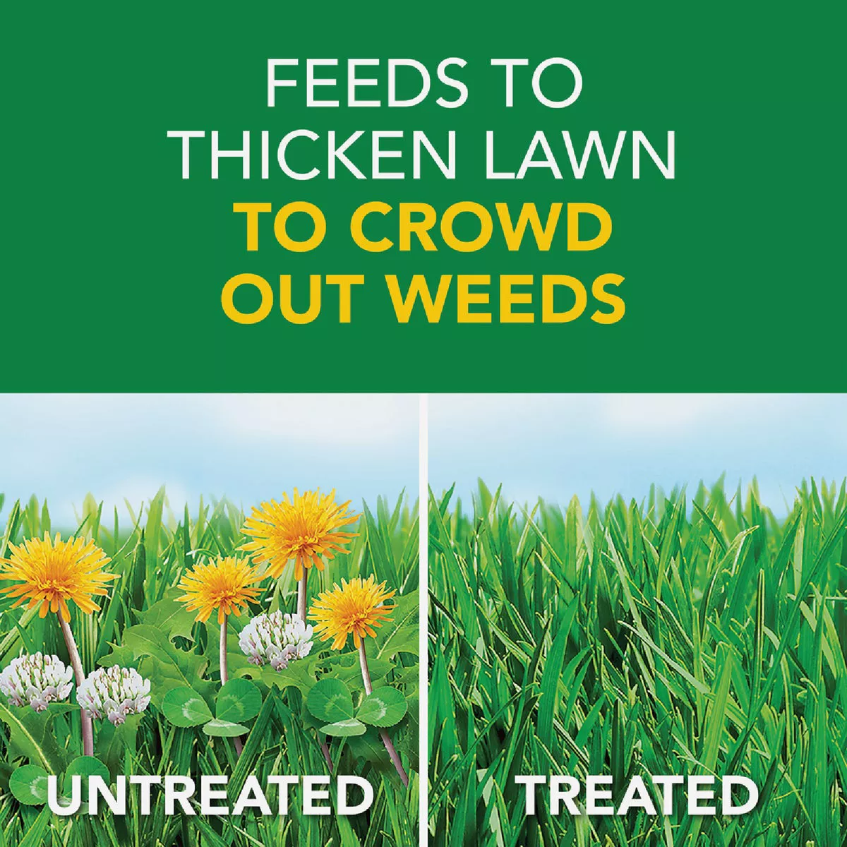Scotts Turf Builder Weed & Feed 14.54 Lb. 5000 Sq. Ft. Weed Killer Plus Lawn Fertilizer