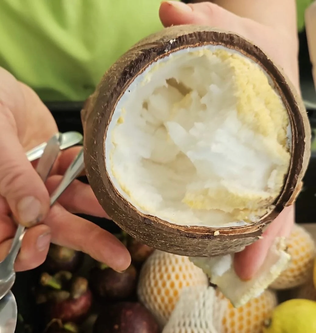 Coconut Tombong – Sprouted coconut with a sweet, foamy core