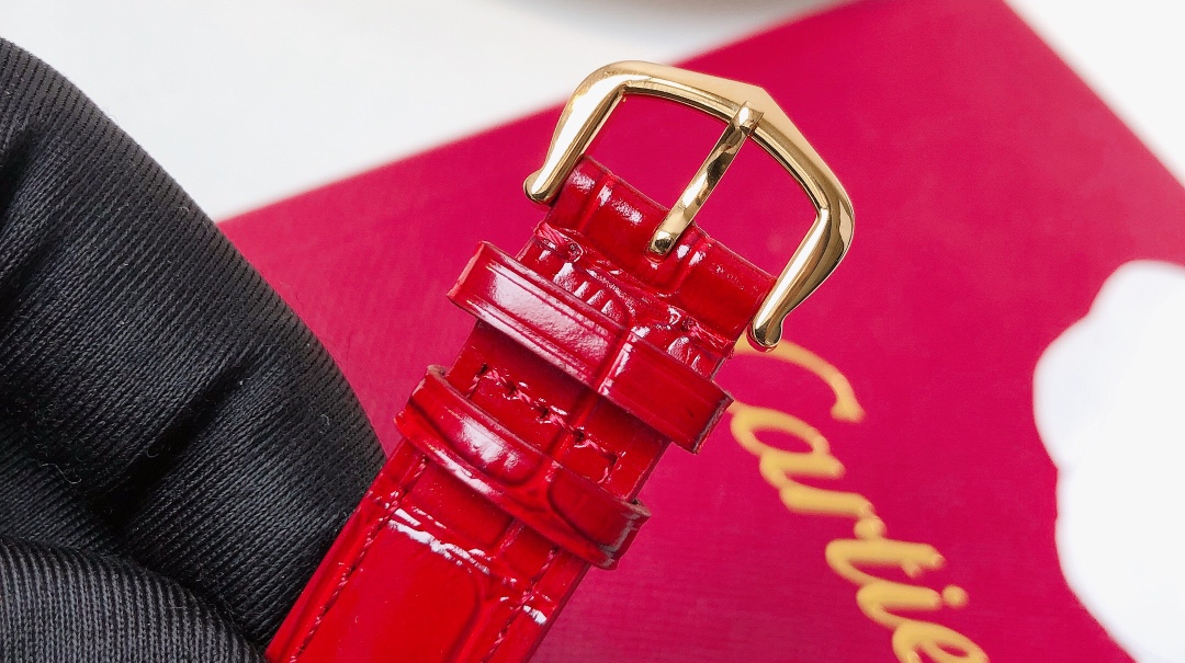 Santos Demoisell Santos Collection - Stainless Steel Mini Model Red(1:1 replica) - Top club