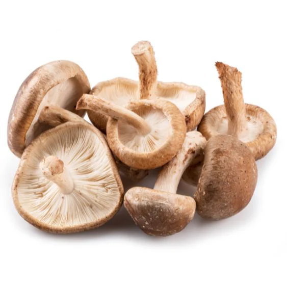 Shiitake mushrooms – aromatic Asian delicacy with an umami kick