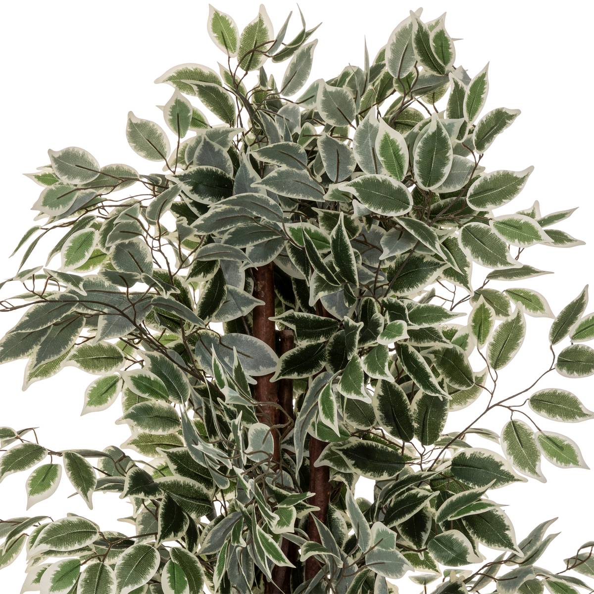 Artificial ficus "Artifices" Dark green, H.180 cm