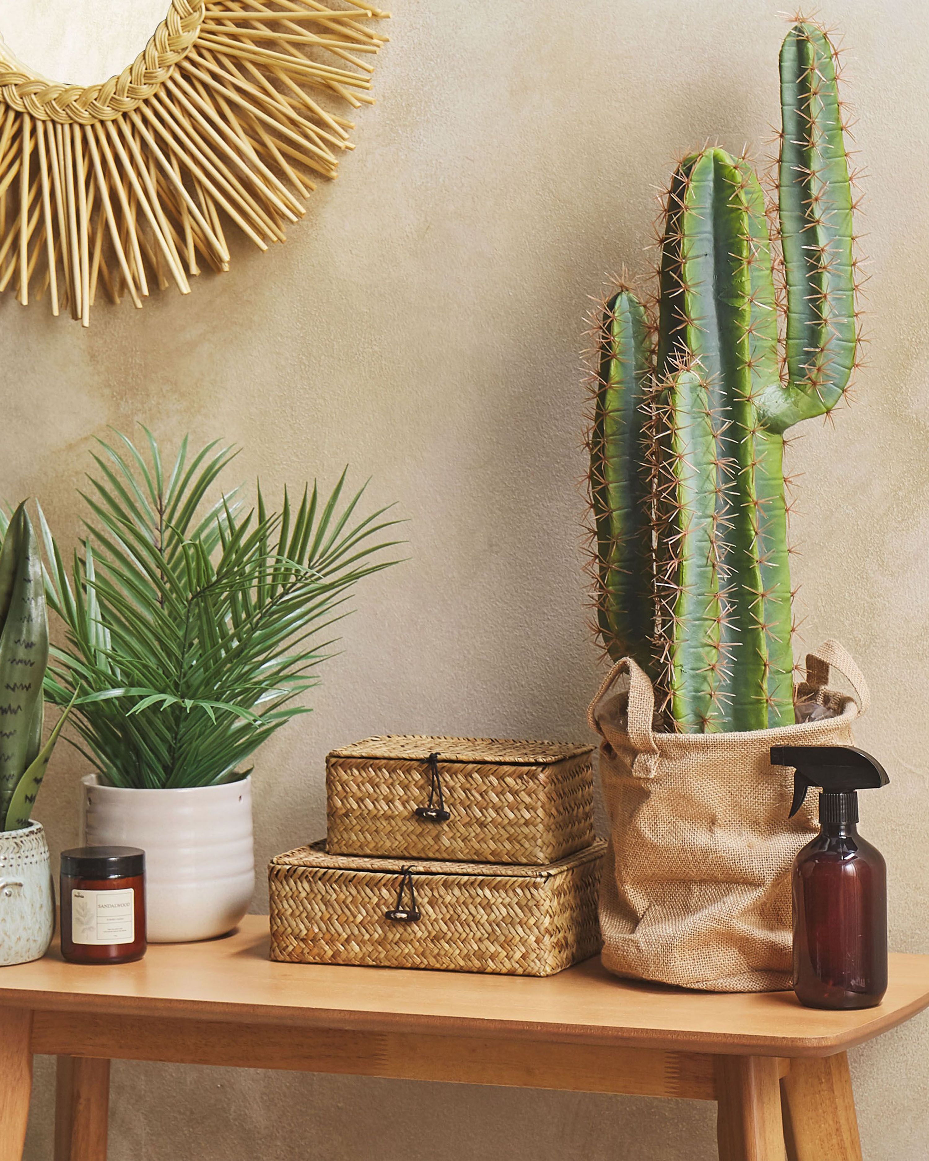 Artificial Plant CACTUS 78 cm Green