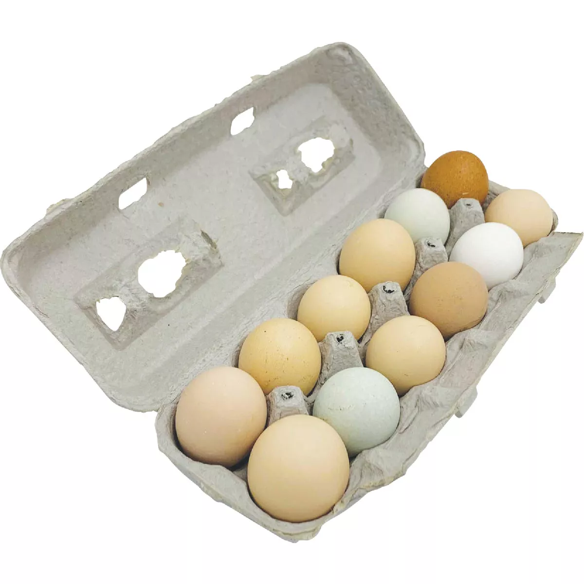 Stromberg's Large Blank Egg Carton (25-Count)