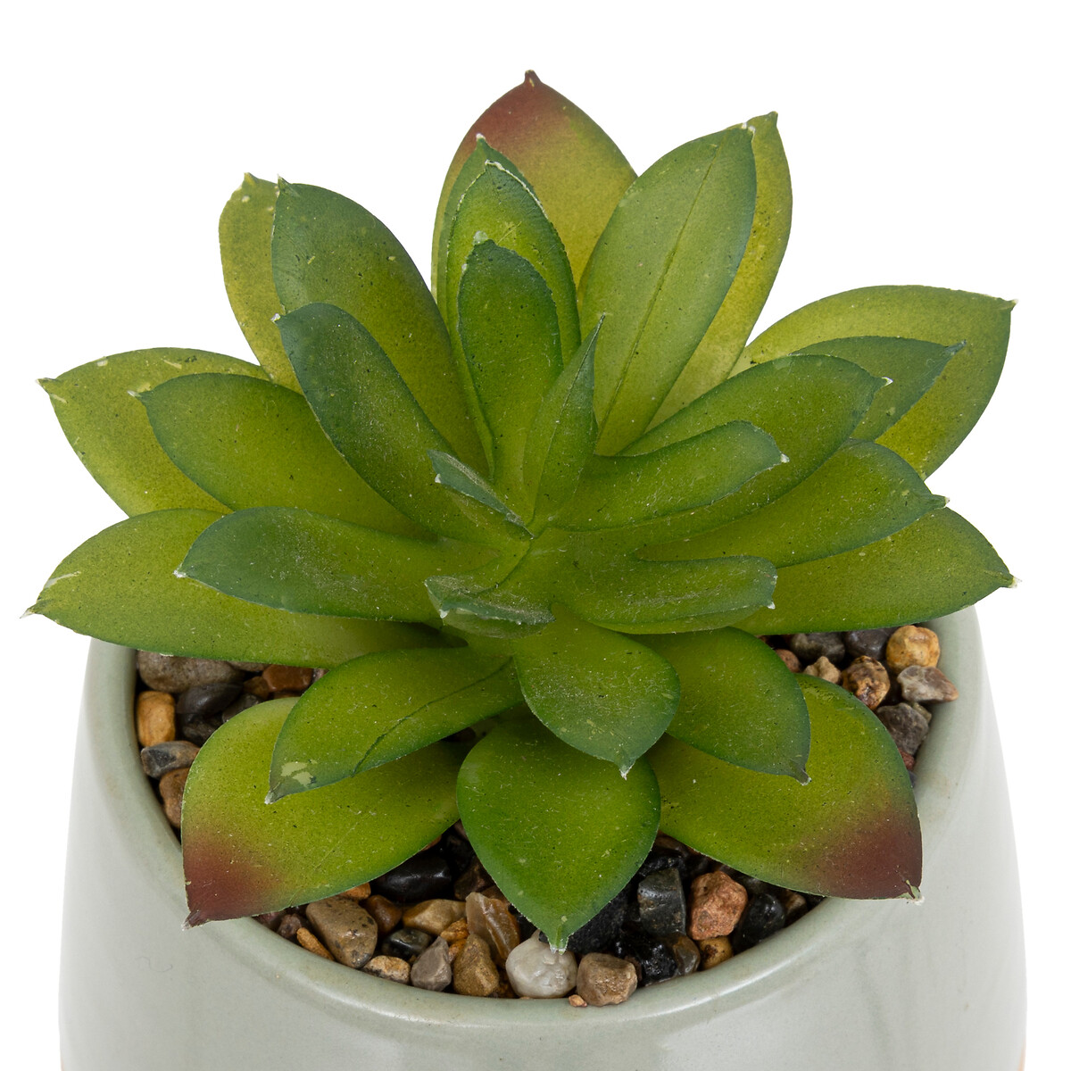 Artificial plant, ceramic pot H.12 cm