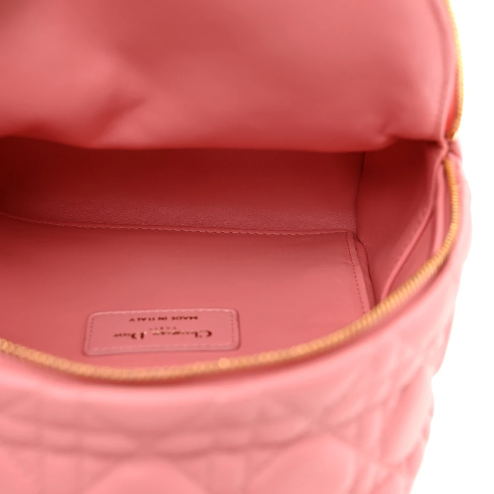 Mirror Quality Dior Peach Blossom Mini Backpack Replica1:1High-quality replica