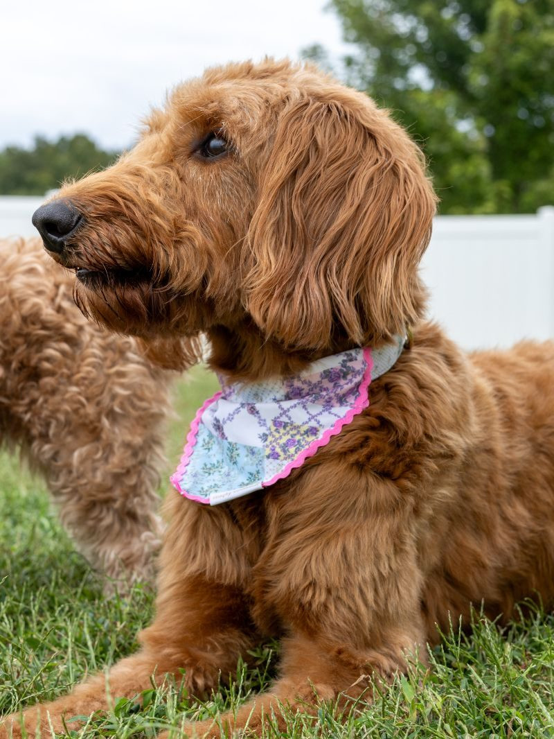 0126-PET-BNDN-PAWSOME-TRLPTCH - Simply Southern Outlet