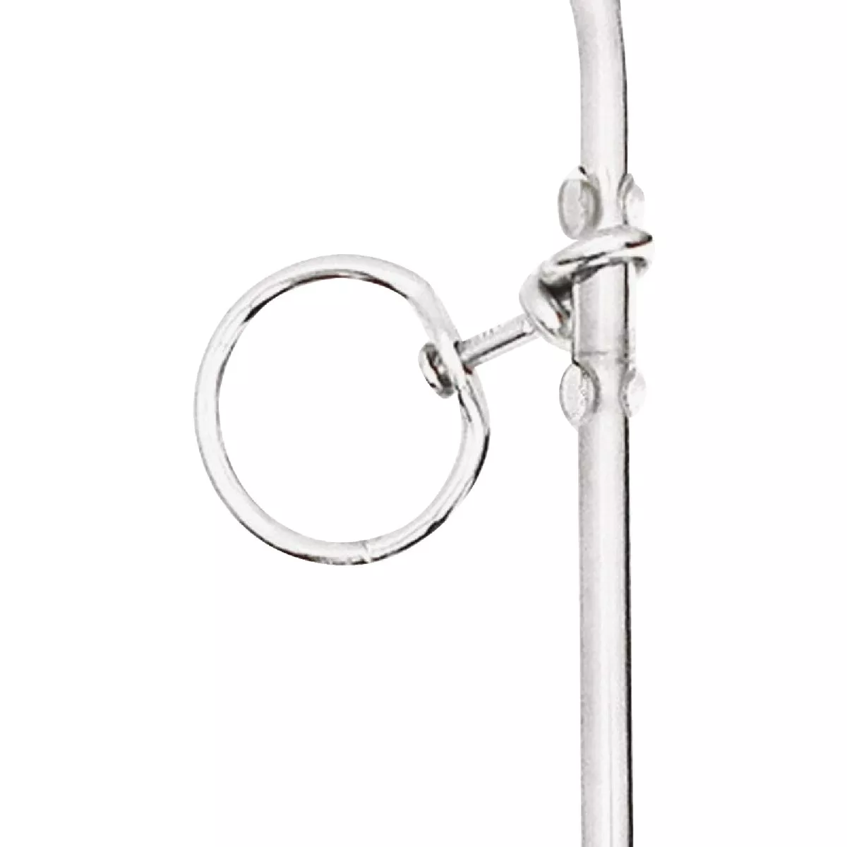 Boss Pet Guardian Gear 18 In. Spiral Dog Tie Out Stake