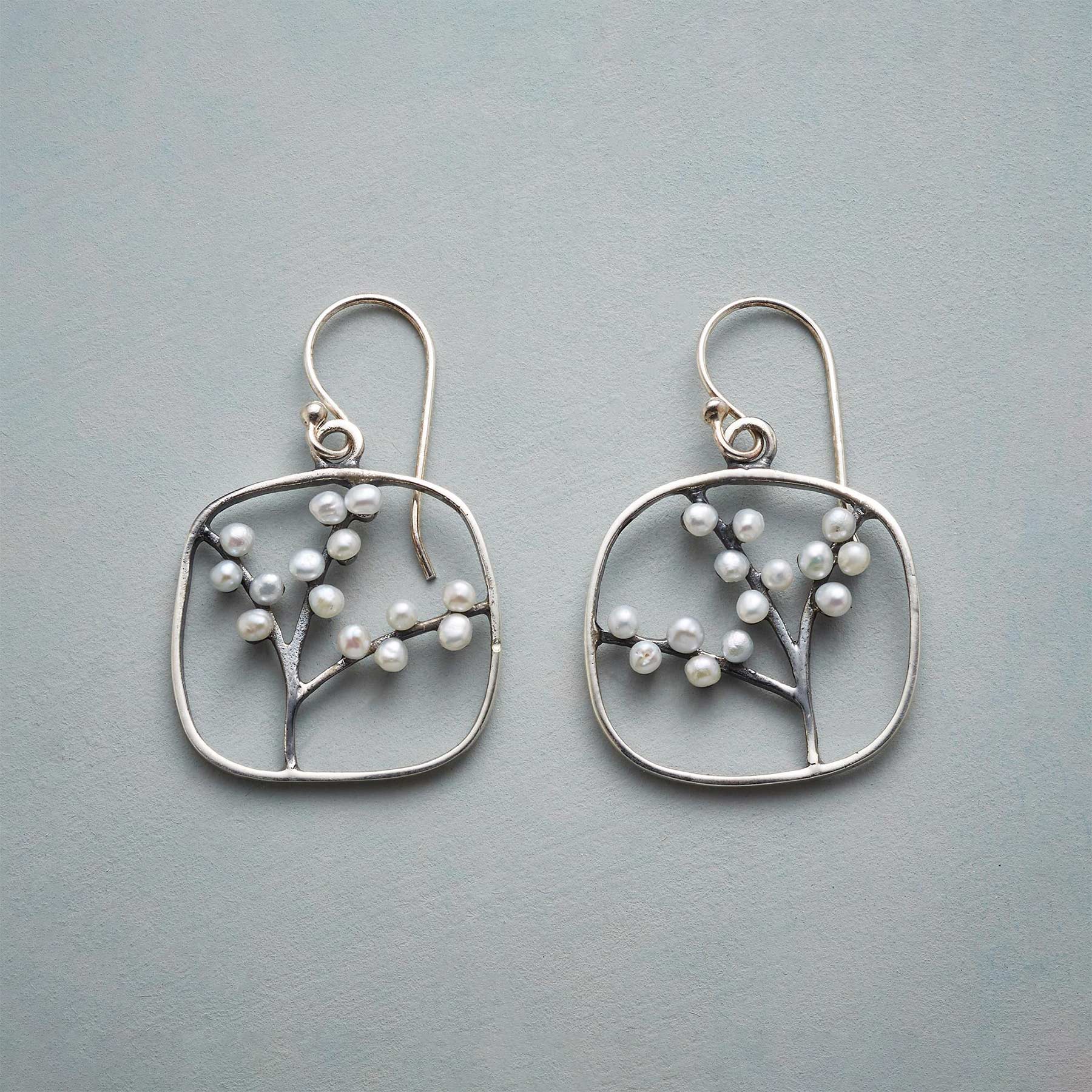 Branches In Bloom Earrings - Sundance Clothing
