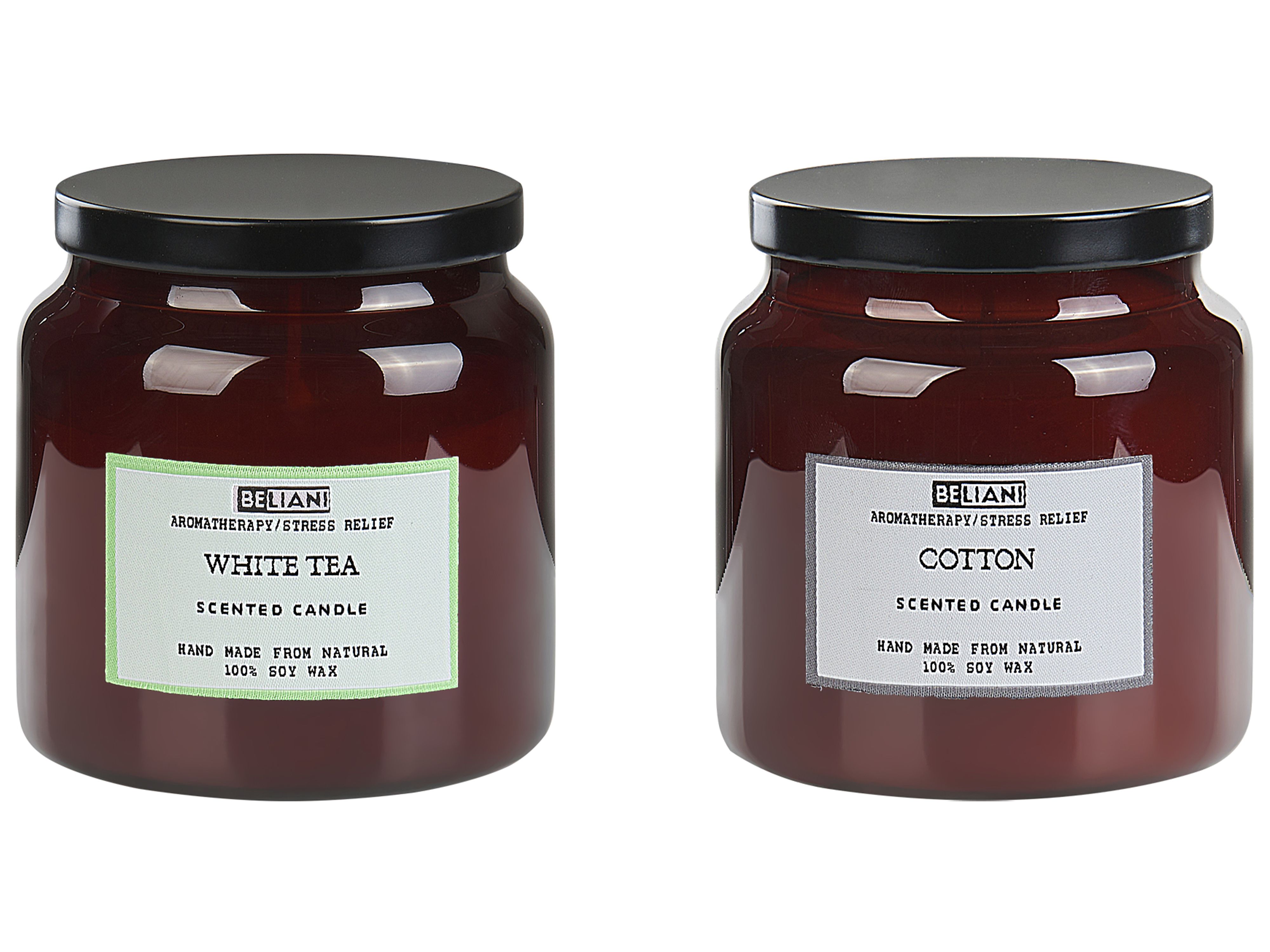 Set of 2 Scented Candles ABSOLUTE ALCHEMY Soy Wax Fresh Notes