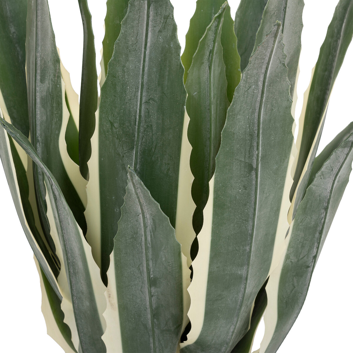 Artificial agave Black pot, H.55 cm