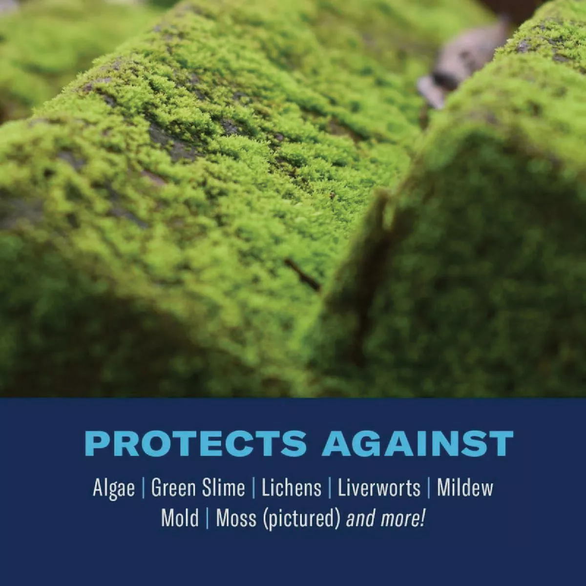 BioAdvanced 2-In-1 32 Oz. Ready To Spray Moss & Algae Killer with HPX Sprayer