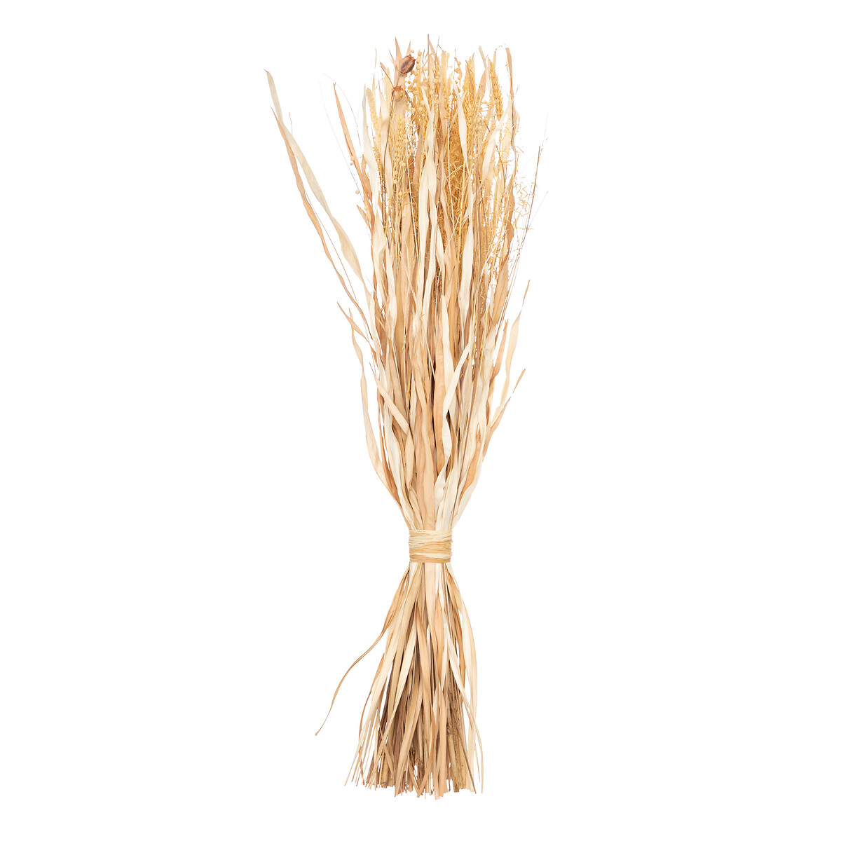 Natural faggot "Lour" H.114 cm