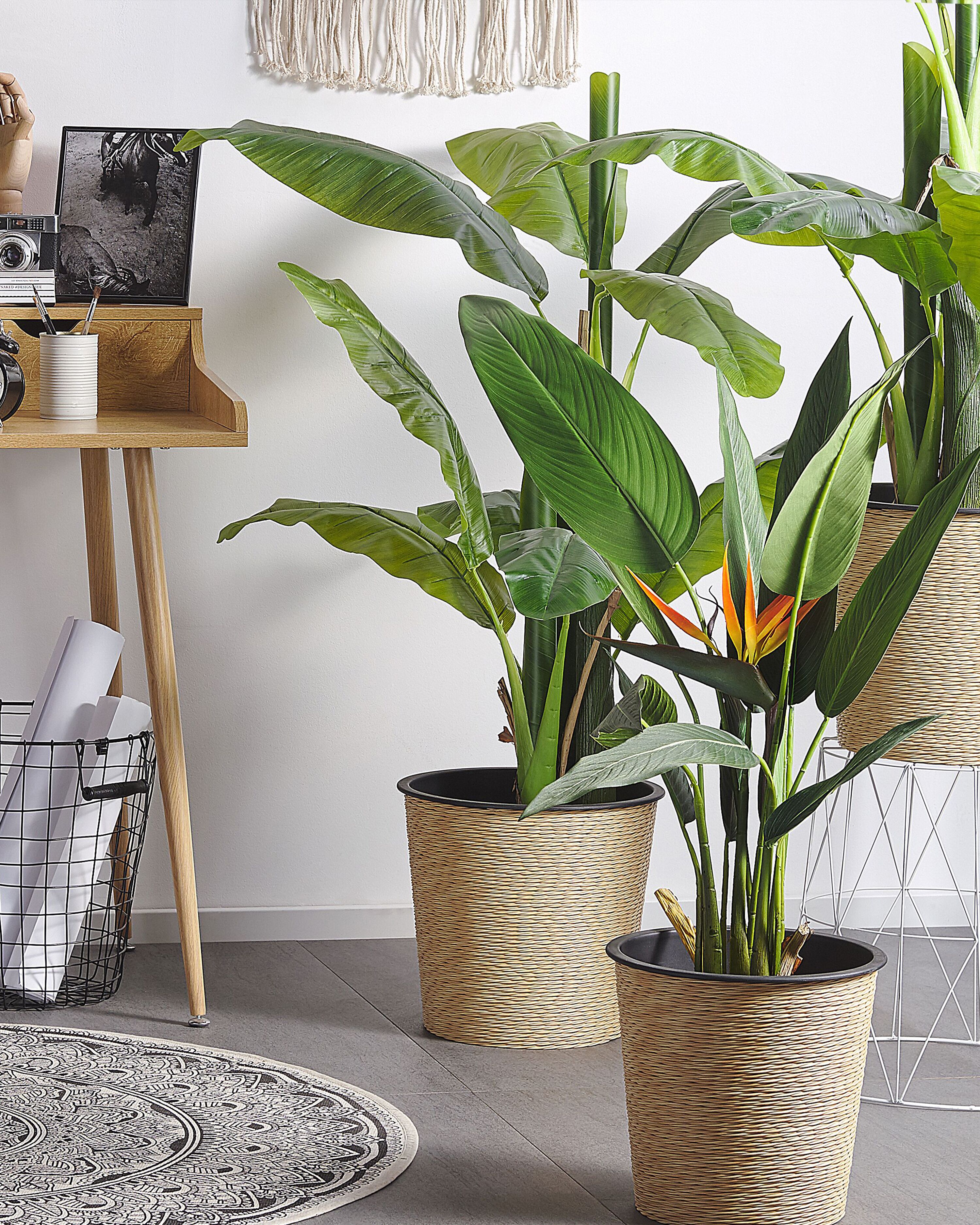 Artificial Plant STRELITZIA TREE 115 cm Green