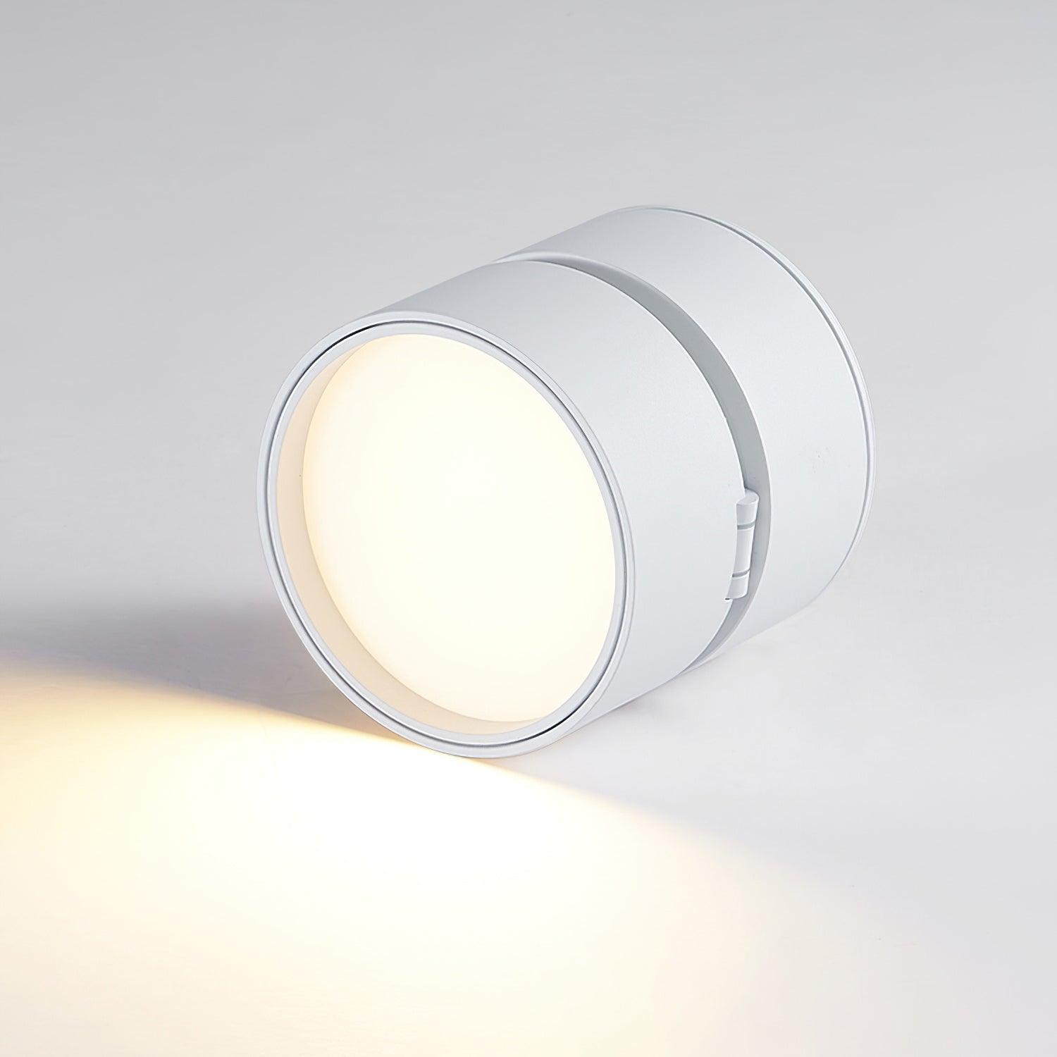 VerstelGloed - Plafondlamp met Flexibele Lichtinstellingen