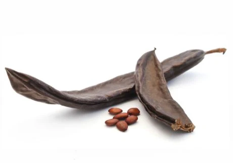 Carob – Enjoy naturally sweet & rich in fiber