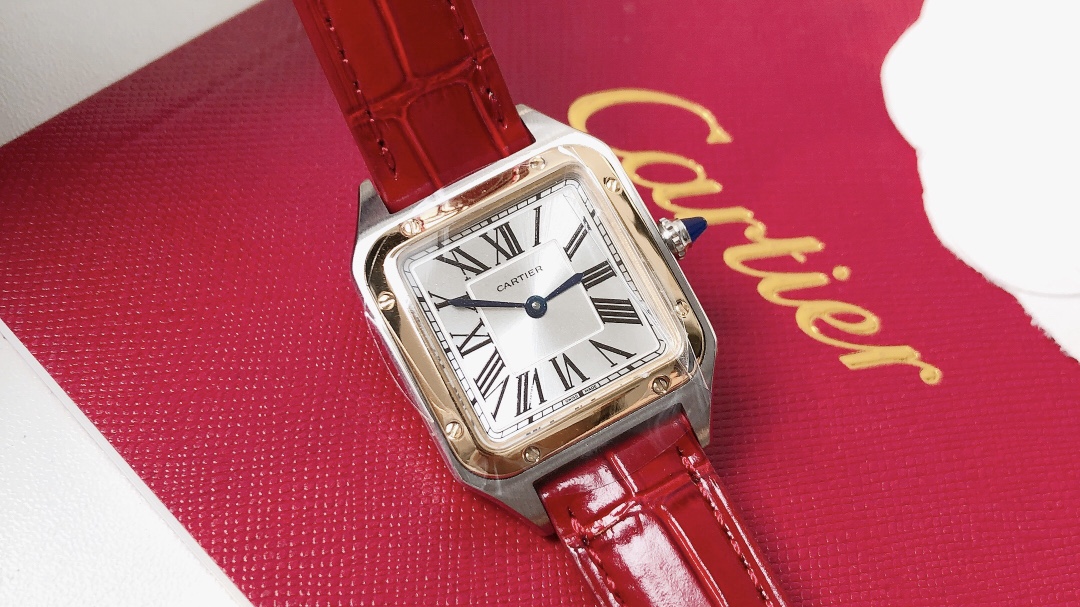 Santos Demoisell Santos Collection - Stainless Steel Mini Model Red(1:1 replica) - Top club