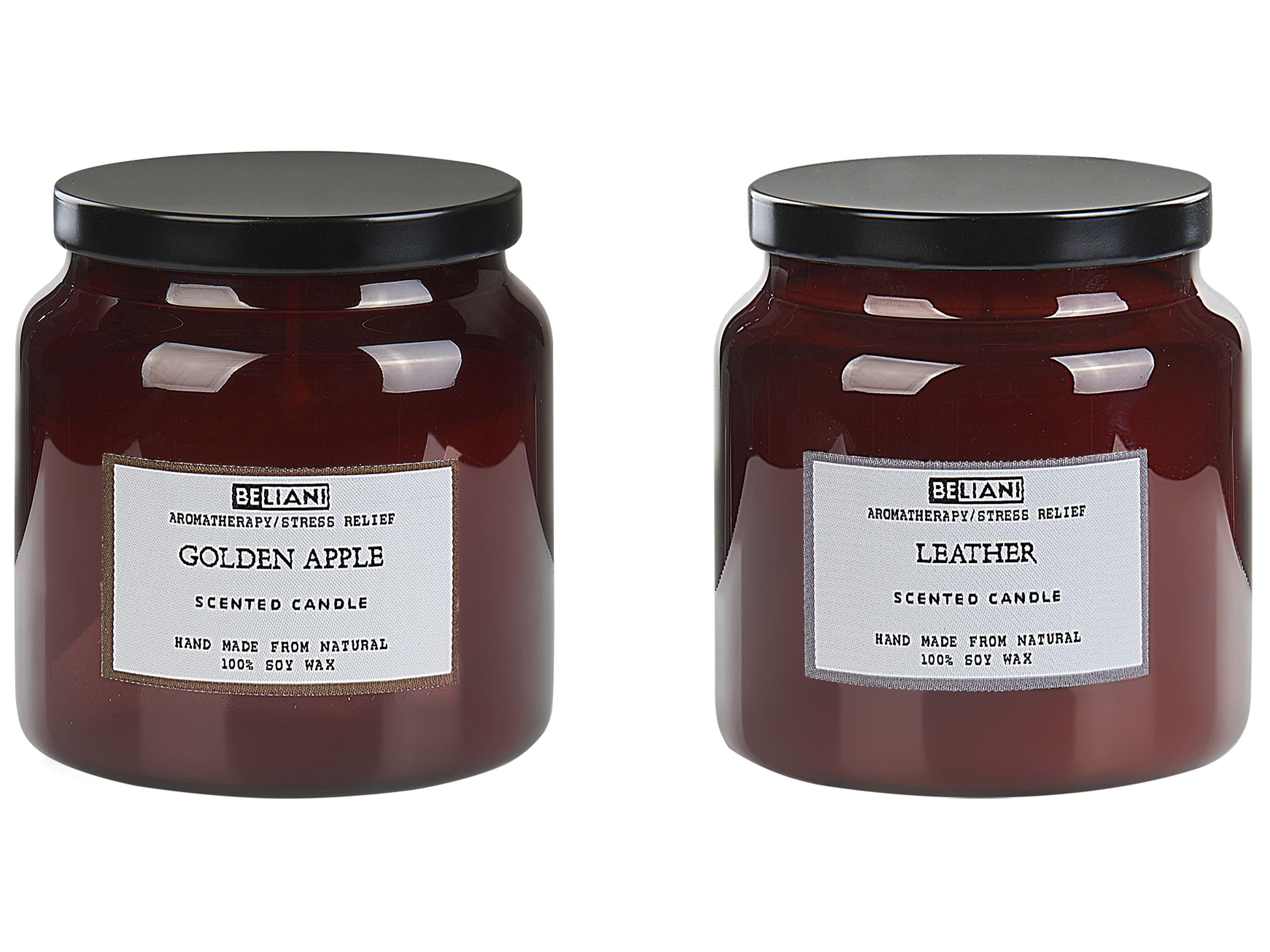 Set of 2 Scented Candles ABSOLUTE ALCHEMY Soy Wax Fruity Notes Fresh Notes