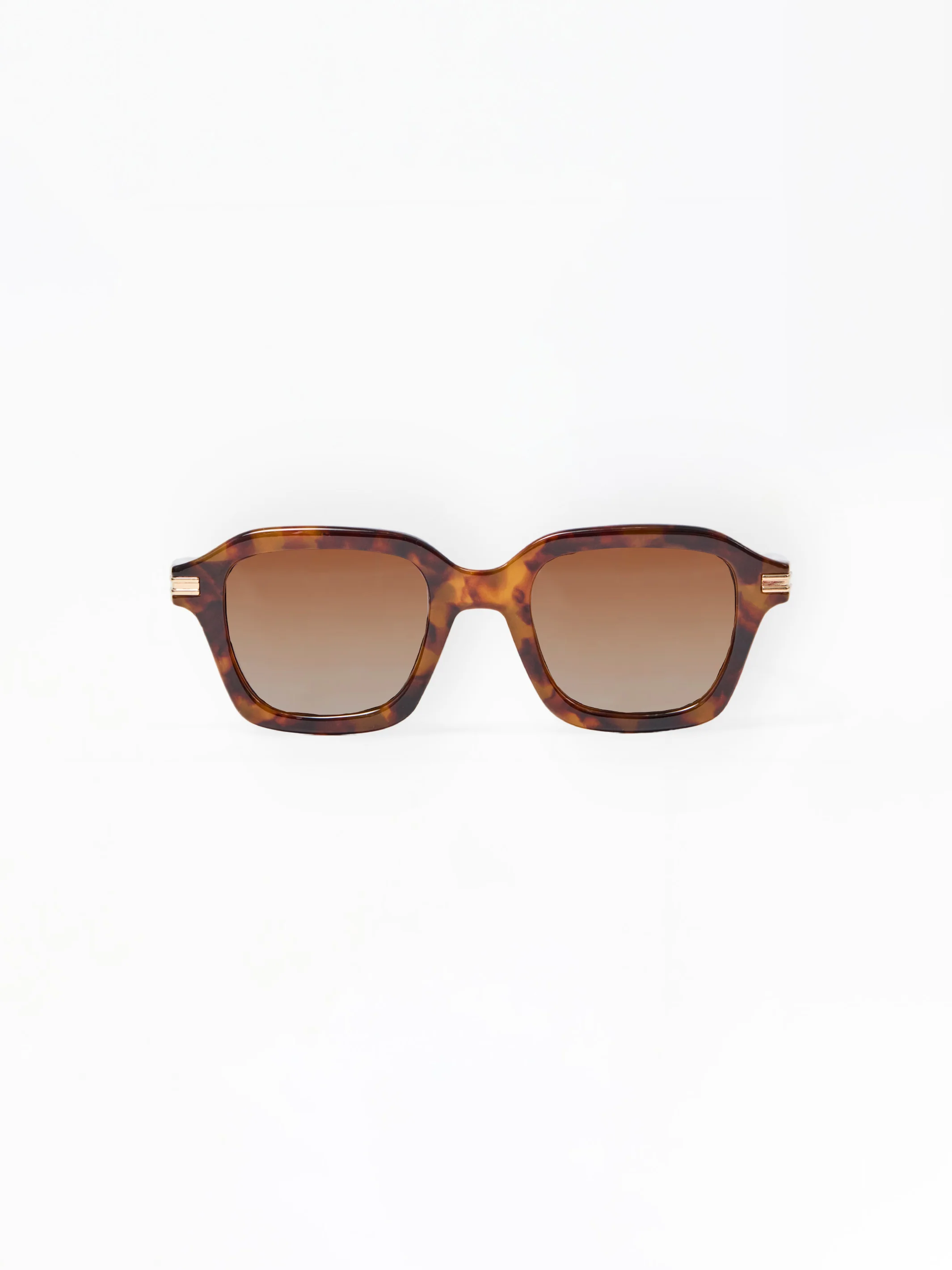 Alyssa Polarized Sunglasses | Tortoise