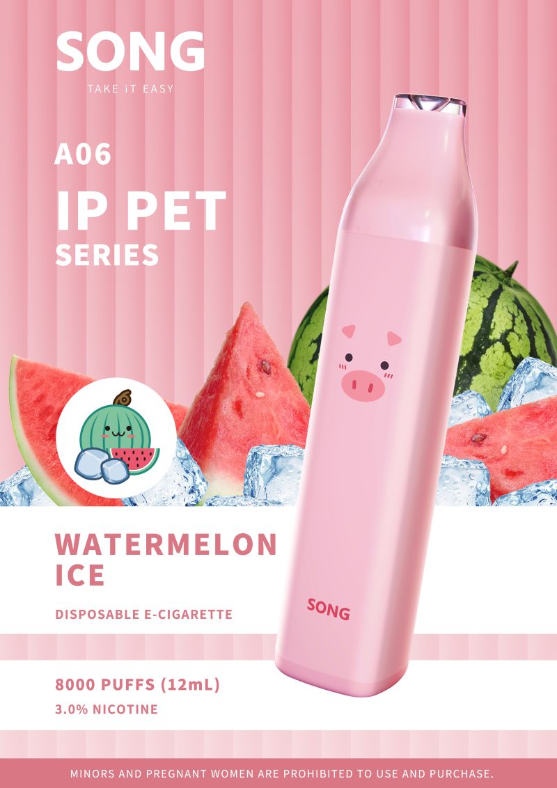 （2 pack）SONG  A06-IP Pet – 8000Puffs