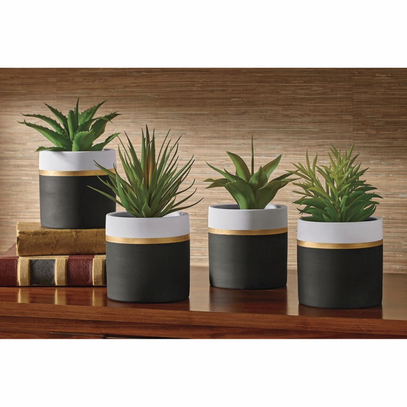 Faux Potted Succulents - MIDNIGHT VELVET CATALOG