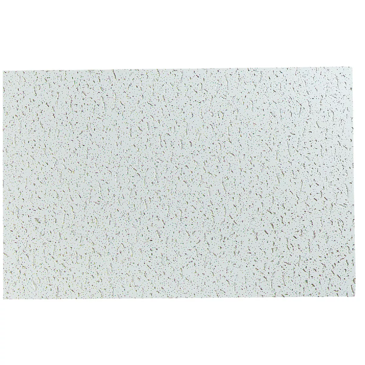 USG Fissured Basic 2 Ft. x 4 Ft. Square Edge Acoustical Ceiling Panels (8-Count)