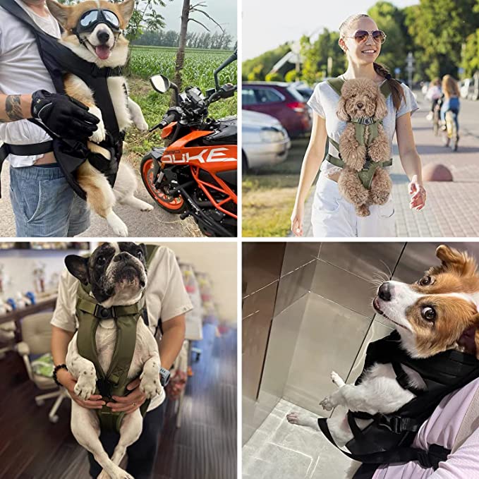 PetCarry | Handsfree Honden Draagtas Rugzak voor Comfortabel Vervoer