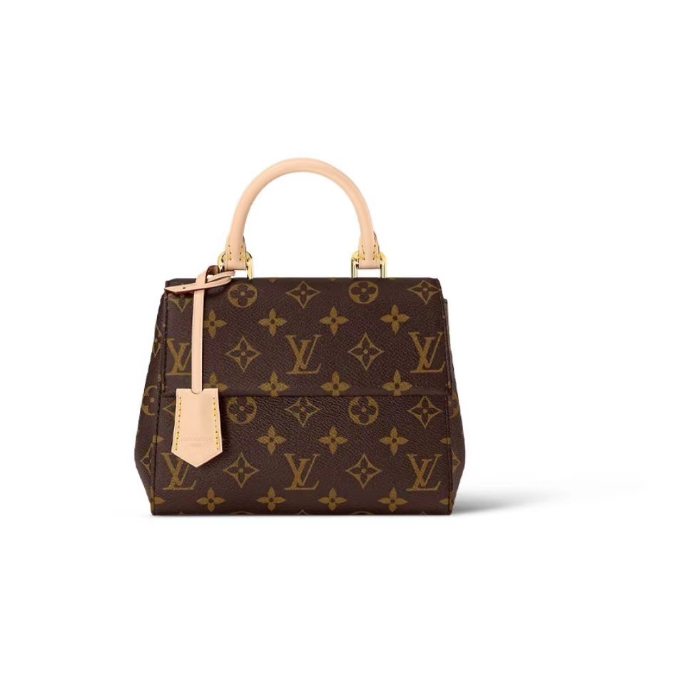 Louis Vuitton Cluny BB M463721:1High-quality replica