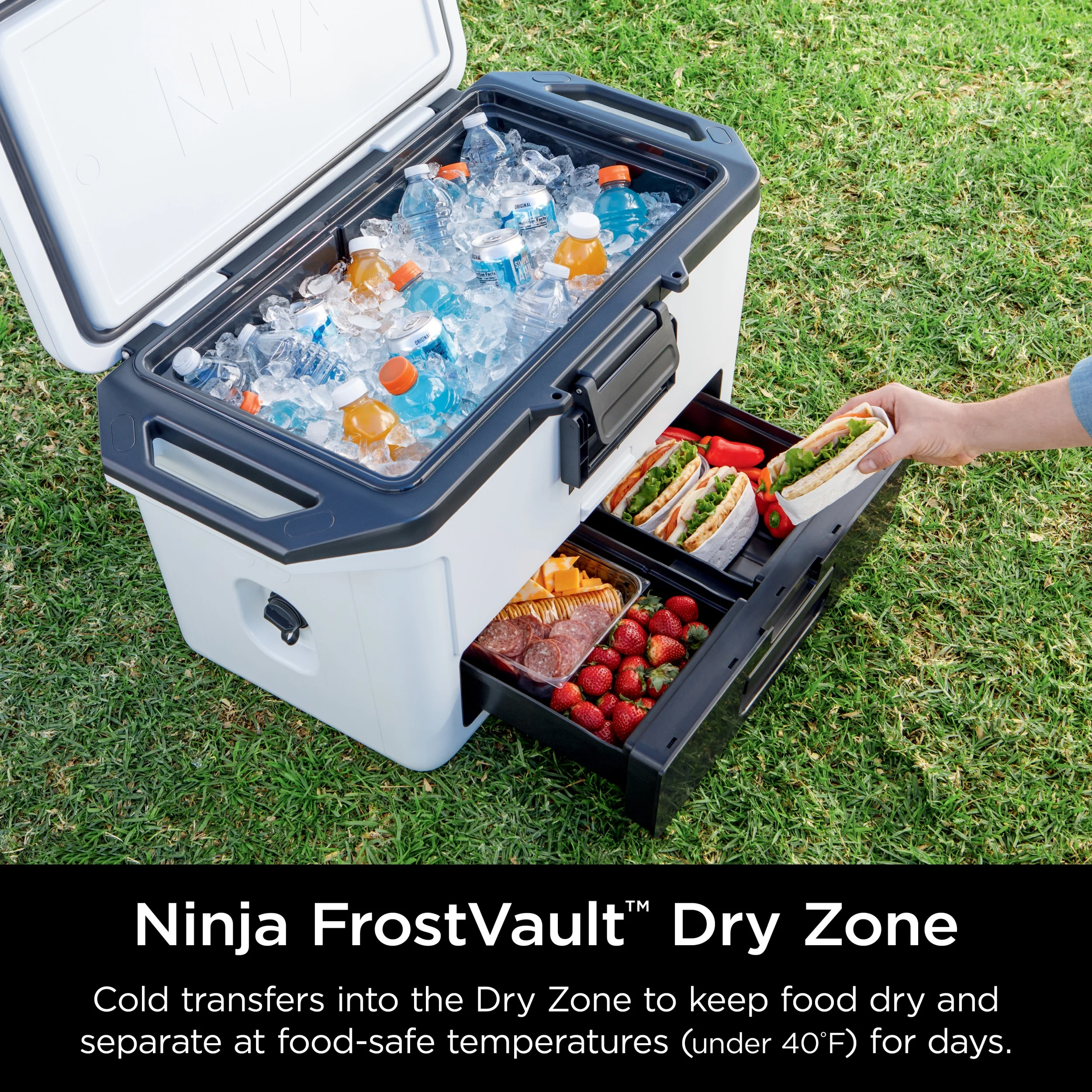 Ninja FrostVault 50qt Hard Cooler with Dry Zone, Gray, FB151GY - Image 15