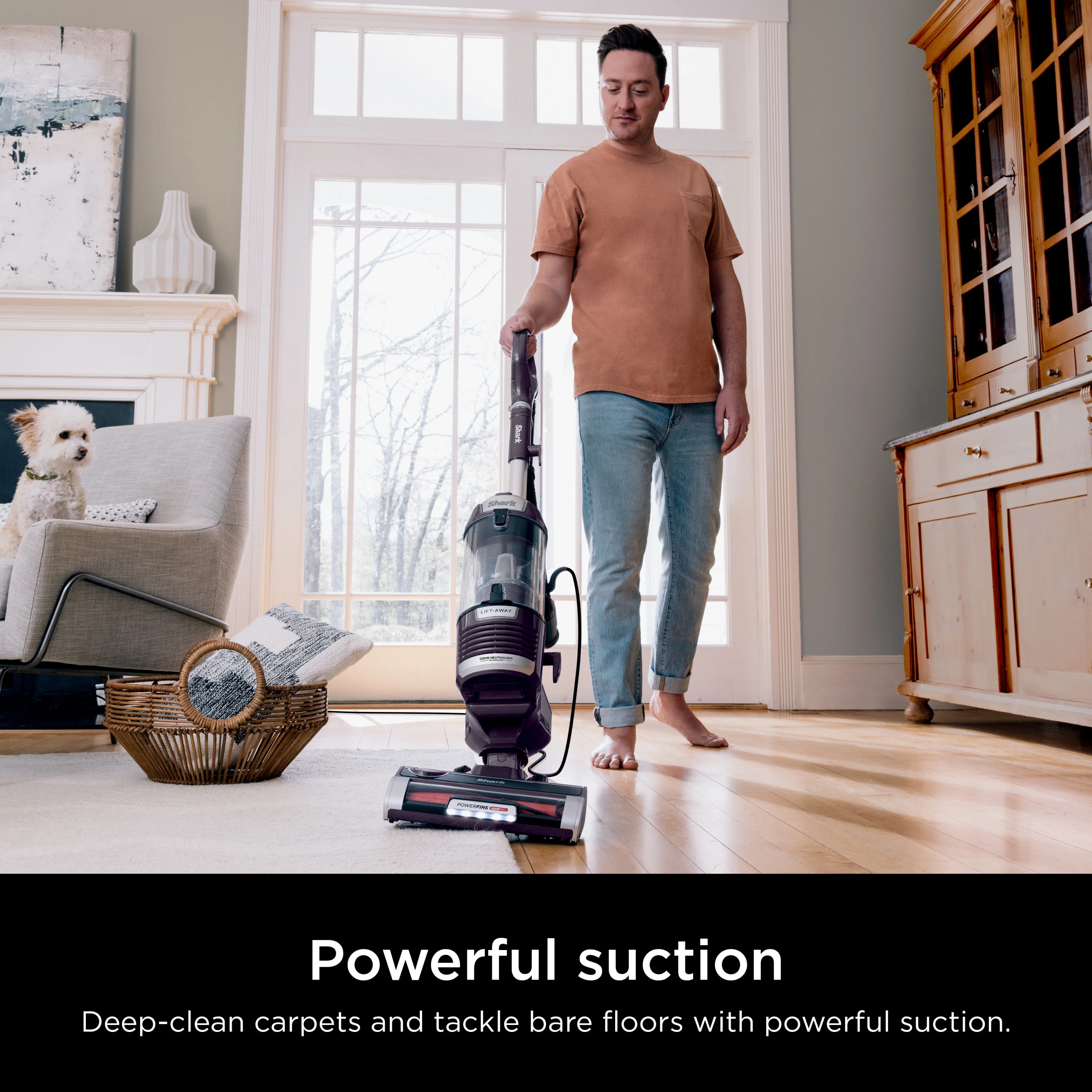 Shark Upright Vacuum, Lift-Away, Pet Friendly, Bagless, PowerFins HairPro & Odor Neutralizer Technology, Hard Floor and Carpet, Self Cleaning Brushroll, Anti Allergen &Swivel Steering , ZD550, Purple