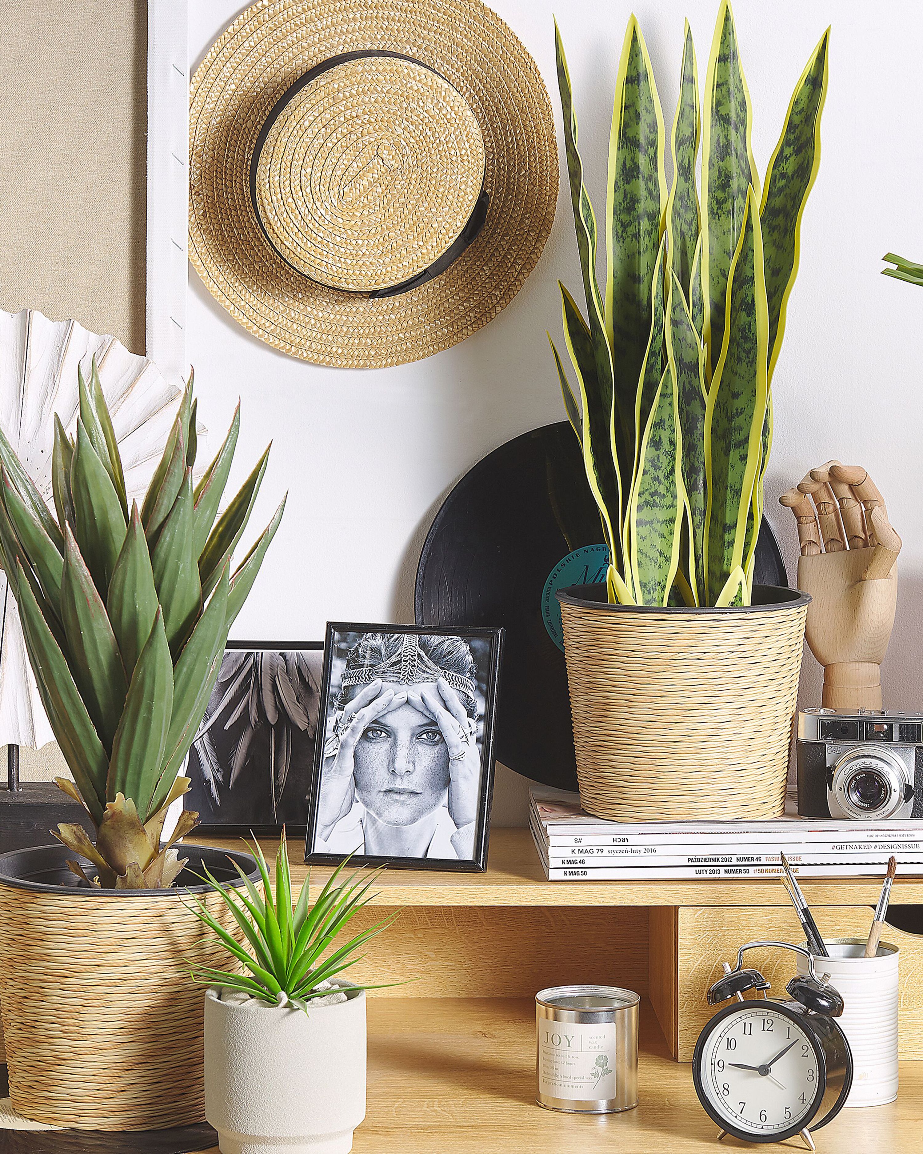 Artificial Plant SNAKE PLANT 63 cm Green