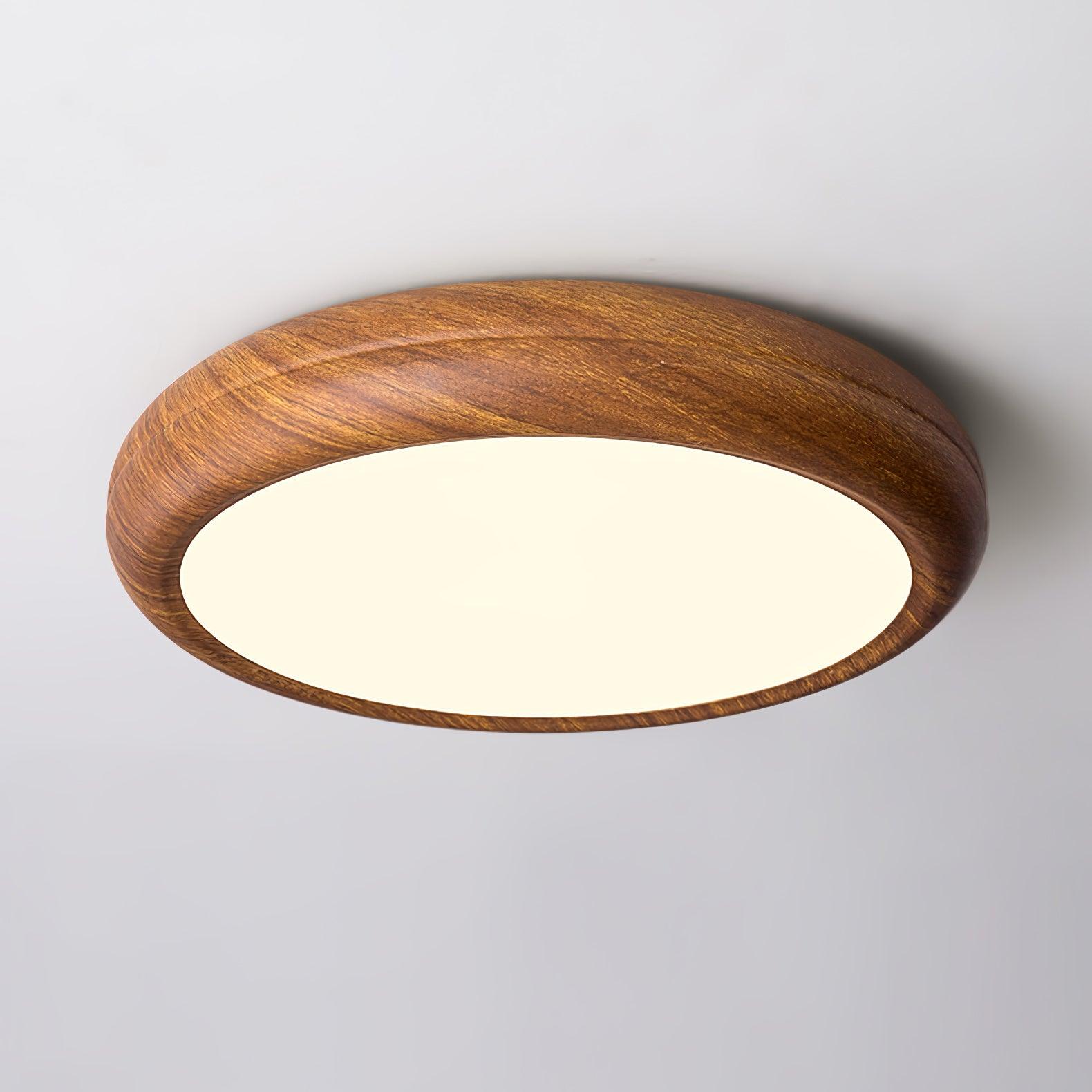 EcoLicht - Plafondlamp voor een Natuurlijke Elegantie