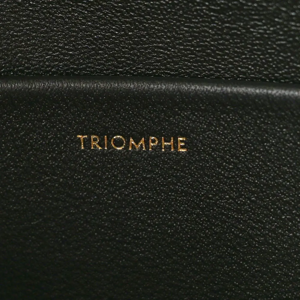 Replica Celine Black Calfskin Triomphe Shoulder Bag with Gold Hardware1:1High-quality replica