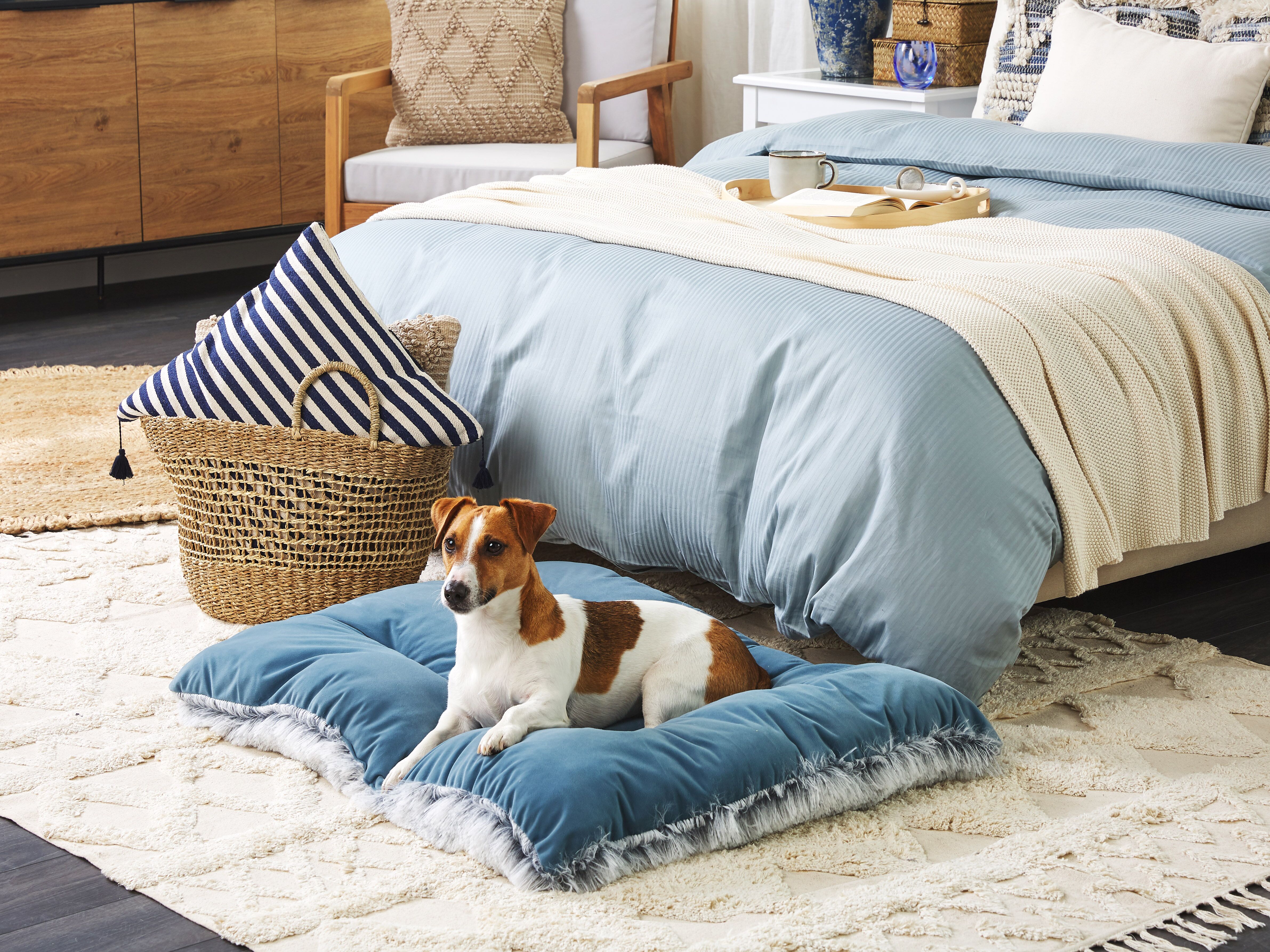Pet Bed ERGANI Velvet Blue
