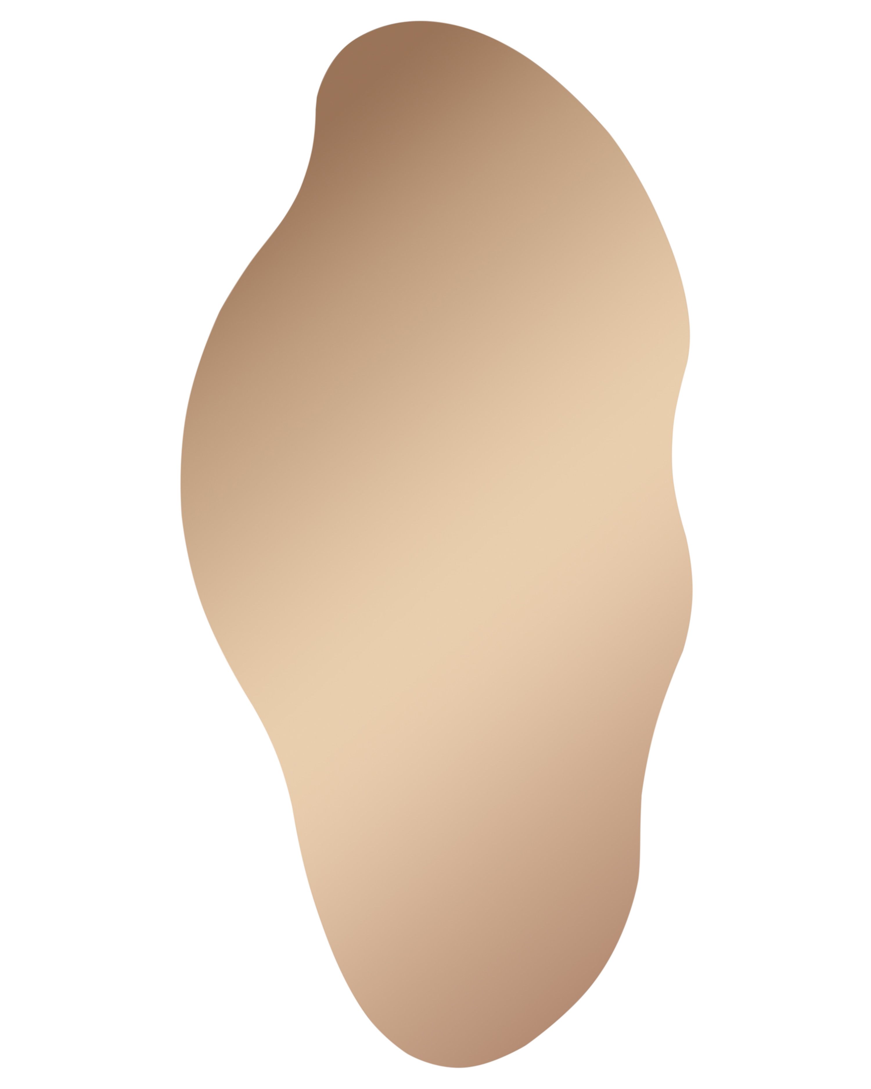 Wall Mirror ASSIGNY 50 cm 92 cm Brown